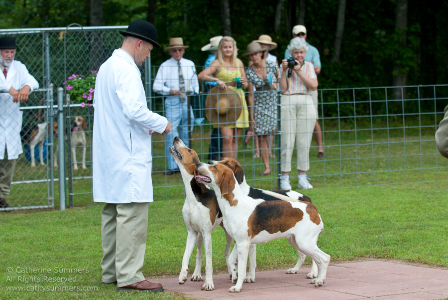 20100620_024: hounds