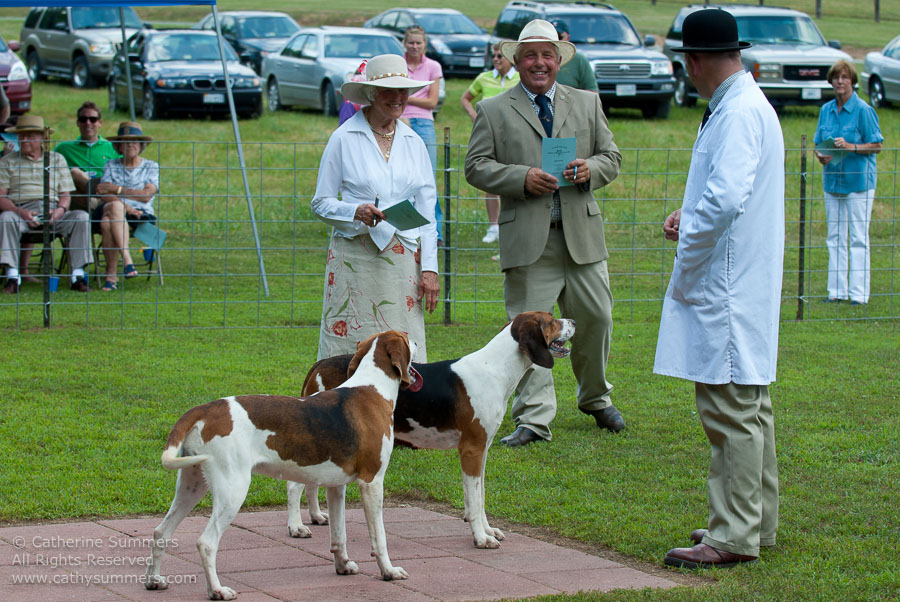 20100620_028: hounds