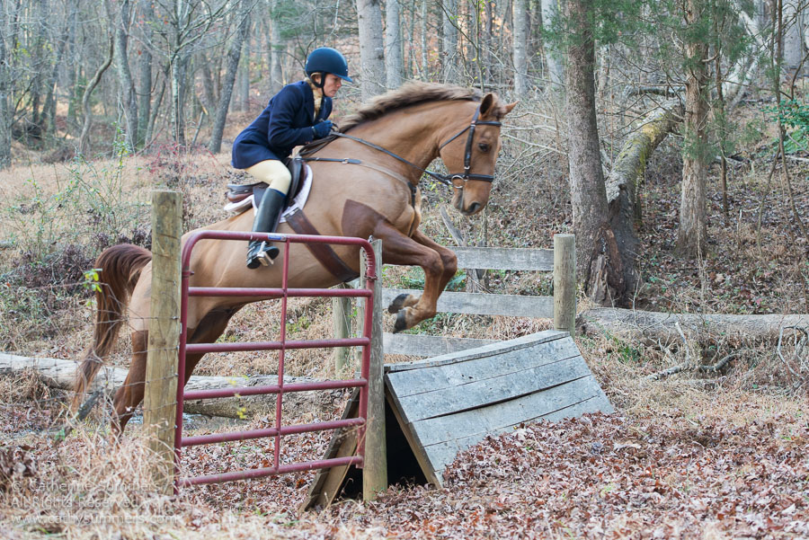 20121208_029: coop, jumping, Julie Cook