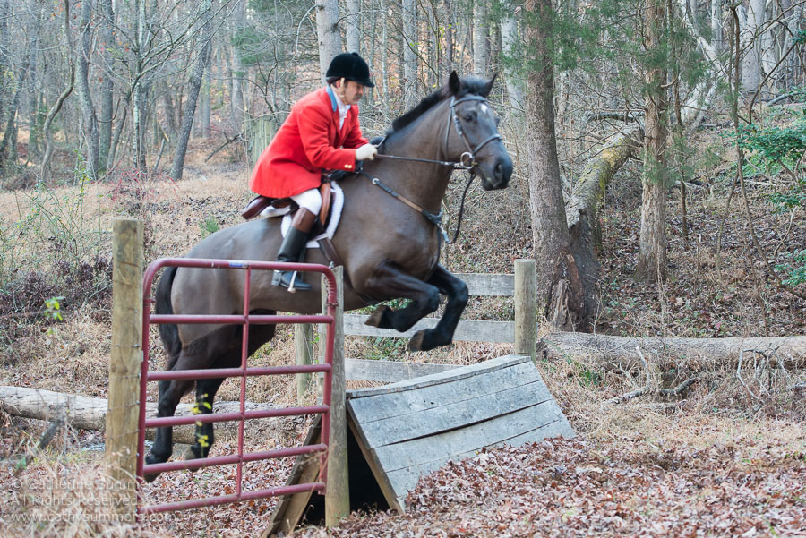 20121208_030: coop, jumping