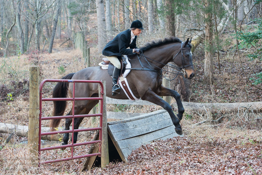 20121208_034: coop, jumping