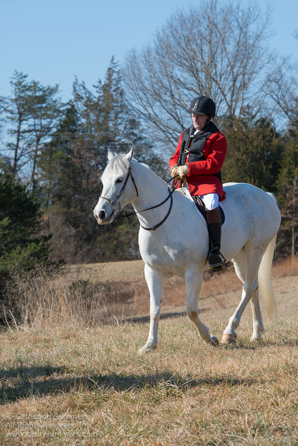 20130224_033: David Ashcomb