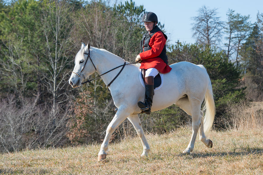 20130224_035: David Ashcomb