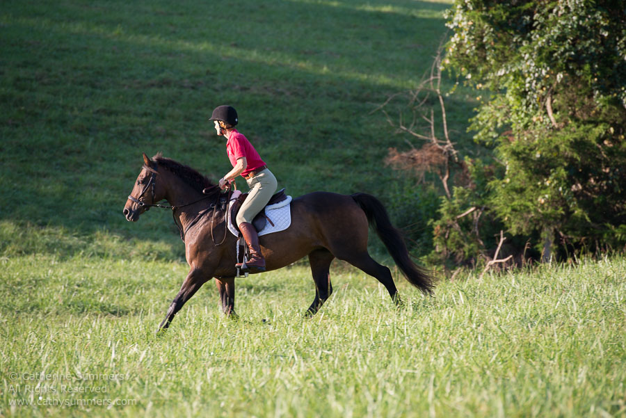 20130902_017: Whip, Whipper-In, Kim Morton