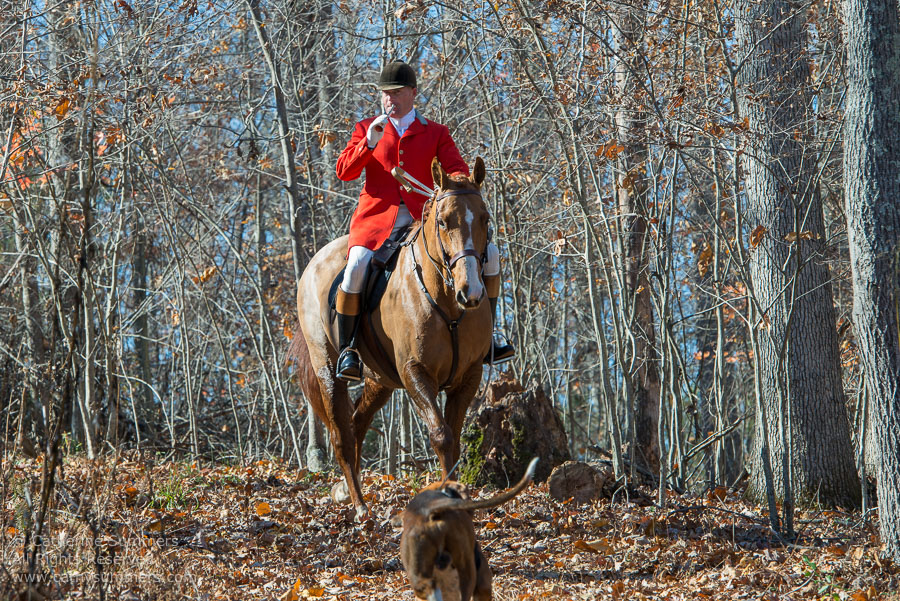 20131109_160: Huntsman, Matthew Cook, Yadkin Farm