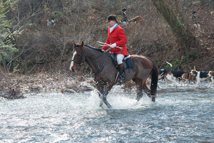 Hunstman and Hounds Crossing Moormans River - Oil Paint Effect
