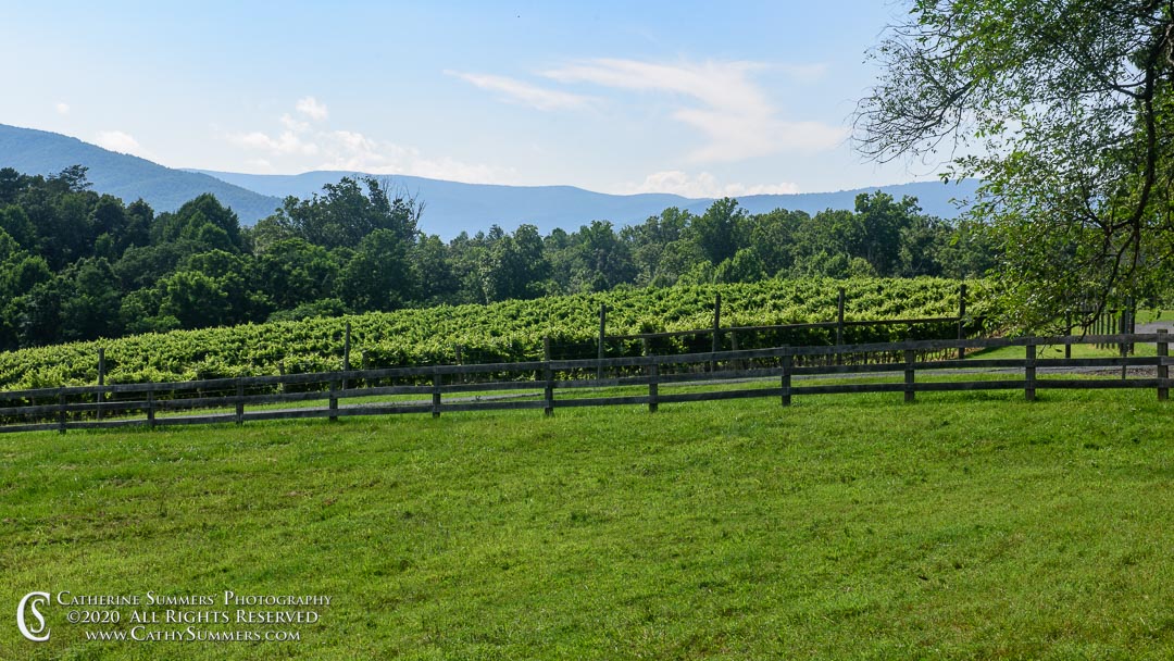20150721_023: clouds, trees, summer, Blue Ridge Mountains, Knight's Gambit, 16x9, Knole III