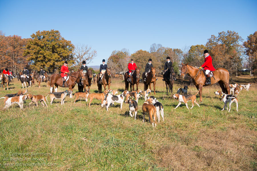 20161112_086: hounds, Huntsman, Staff, Carolyn Chapman, Deborah Wray, Joy Crompton, Liz King, Matthew Cook, Pat Butterfield, Tom Bishop