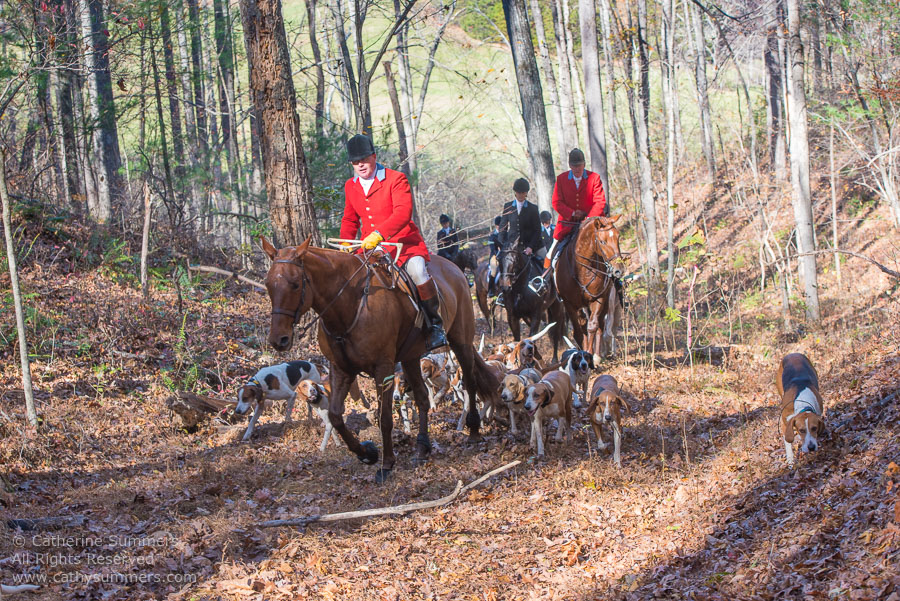 20161112_406: hounds, Huntsman, Staff, Matthew Cook