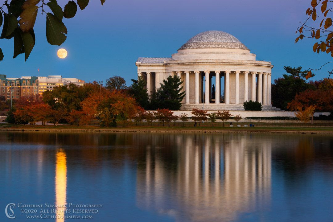 20161113_005: DC, Jefferson Memorial, Tidal Basin, Washington, cherry trees, horizontal, moon, autumn, moonrise, landscape, moon rise