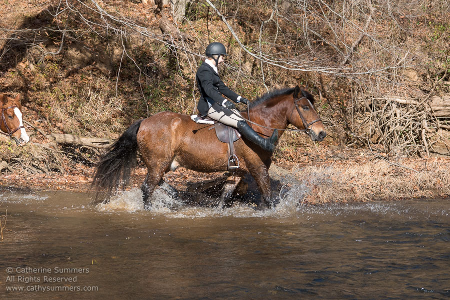 20161126_390: river, Rivana