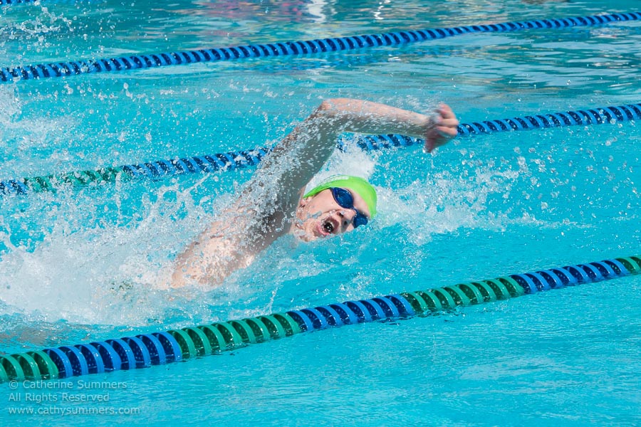 Freestyle Swimmer - Oil Paint Effect
