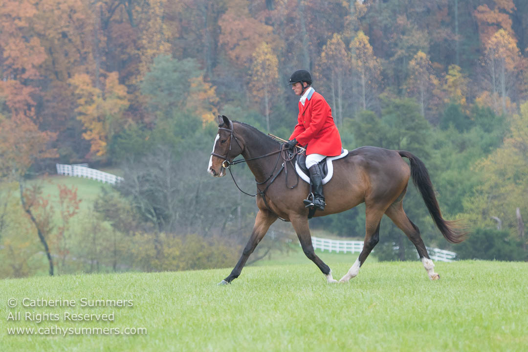 20171105_096: horizontal, Mark Thompson, Virginia Field Hunter Championships, landscape