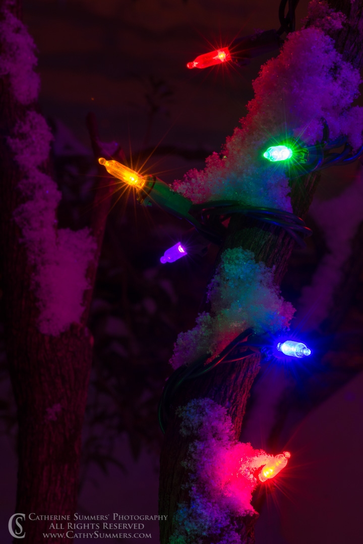 20171209_010: vertical, snow, night, Christmas Lights