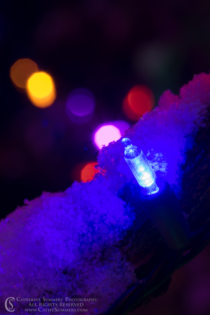 20171209_023: vertical, winter, snow, Christmas Lights