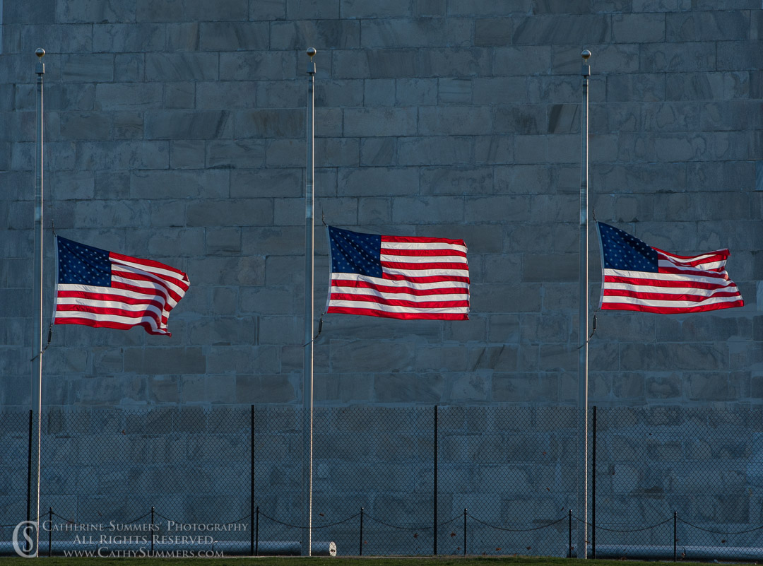 20180303_030: horizontal, Washington Monument, flags, landscape