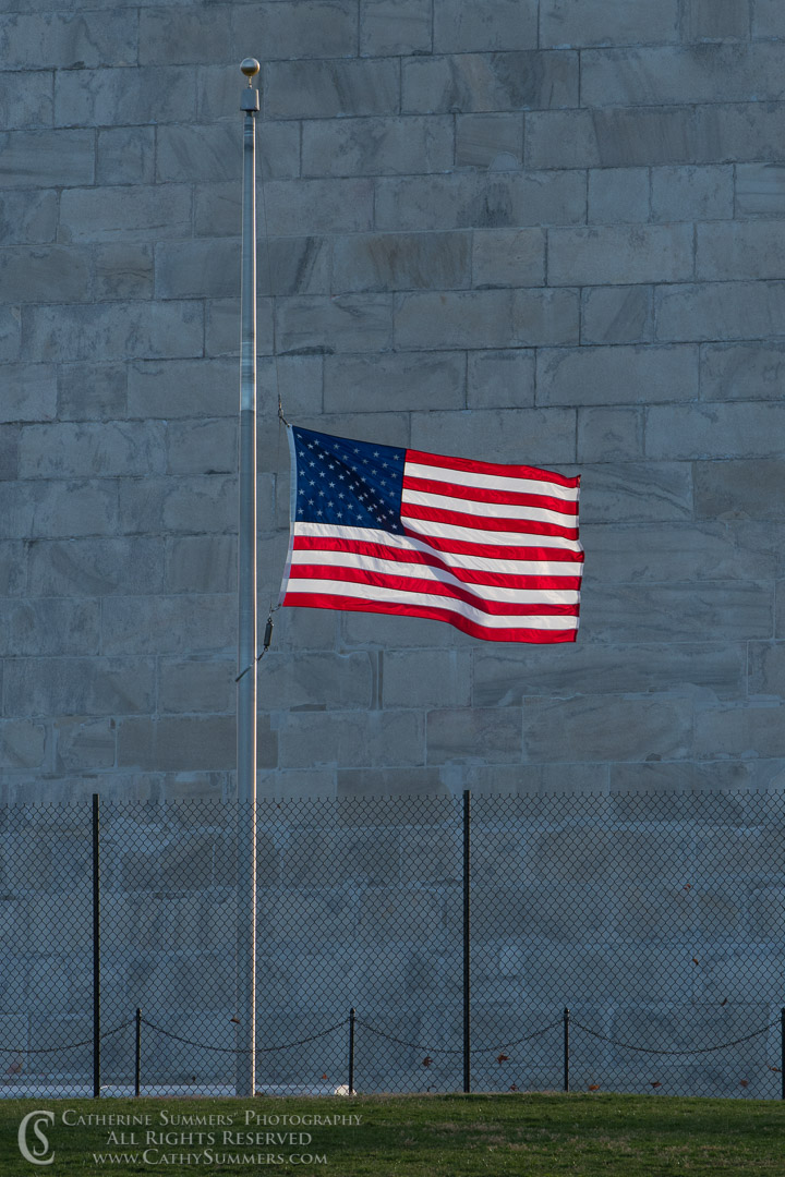 20180303_032: vertical, Washington Monument, flags