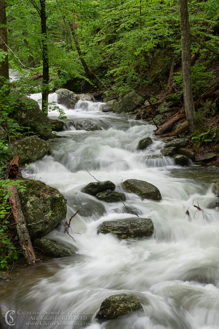 Long Exposure to Blur the Water - Rose River - 1/5 Second: Shenandoah National Park, Virginia