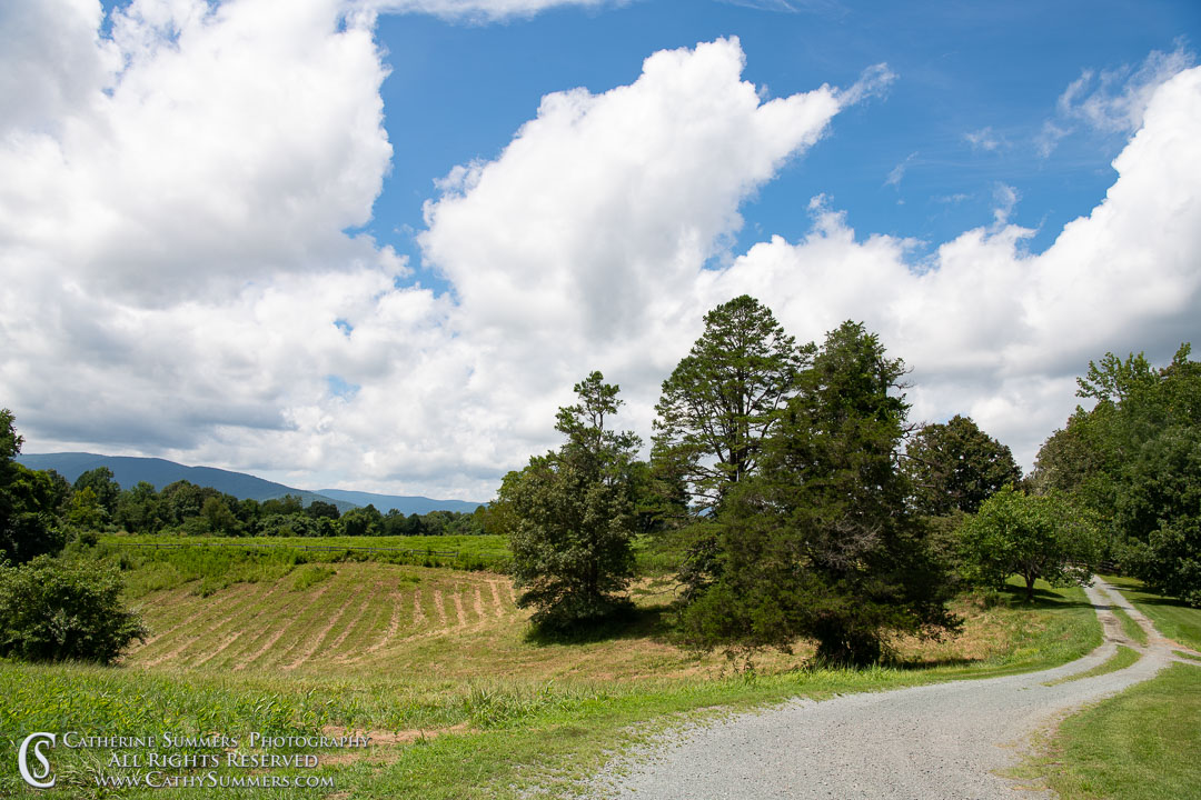 20180801_001: clouds, horizontal, summer, Knole