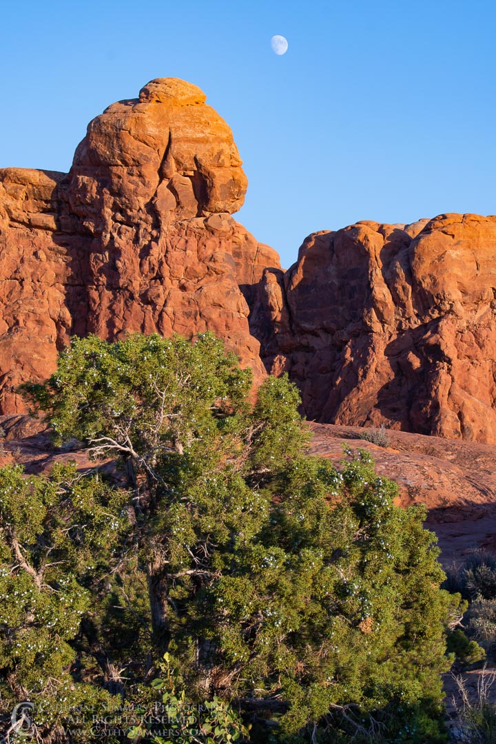 20180920_079: vertical, moon, Arches National Park, Garden of Eden