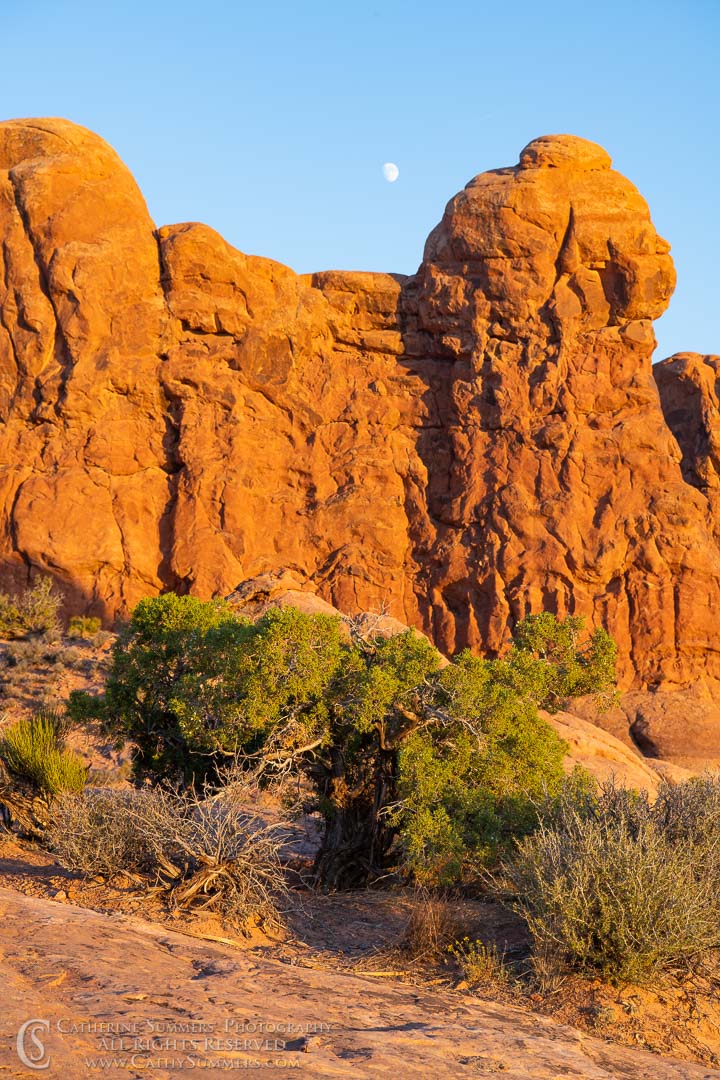 20180920_091: vertical, moon, Arches National Park, Garden of Eden