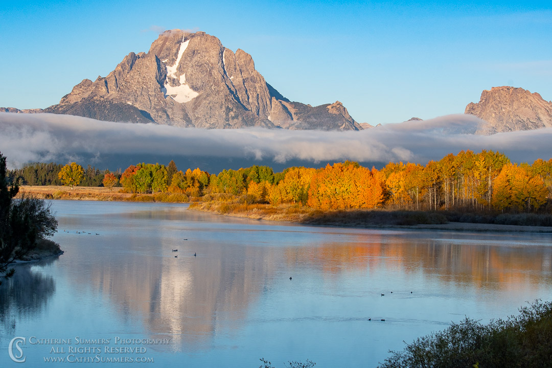 Mount Moran and Reflection in the Snake River on an Autumn Morning: Grand Teton National Park