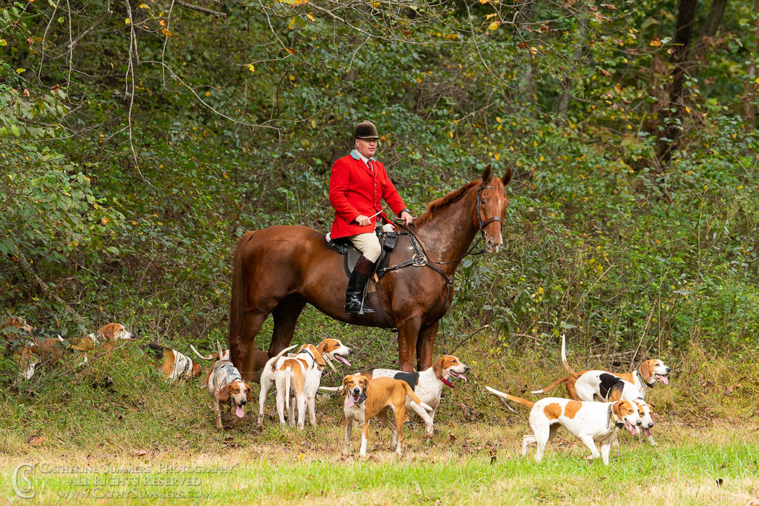 20181016_277: horizontal, Fox Hunting, Mint Meadows
