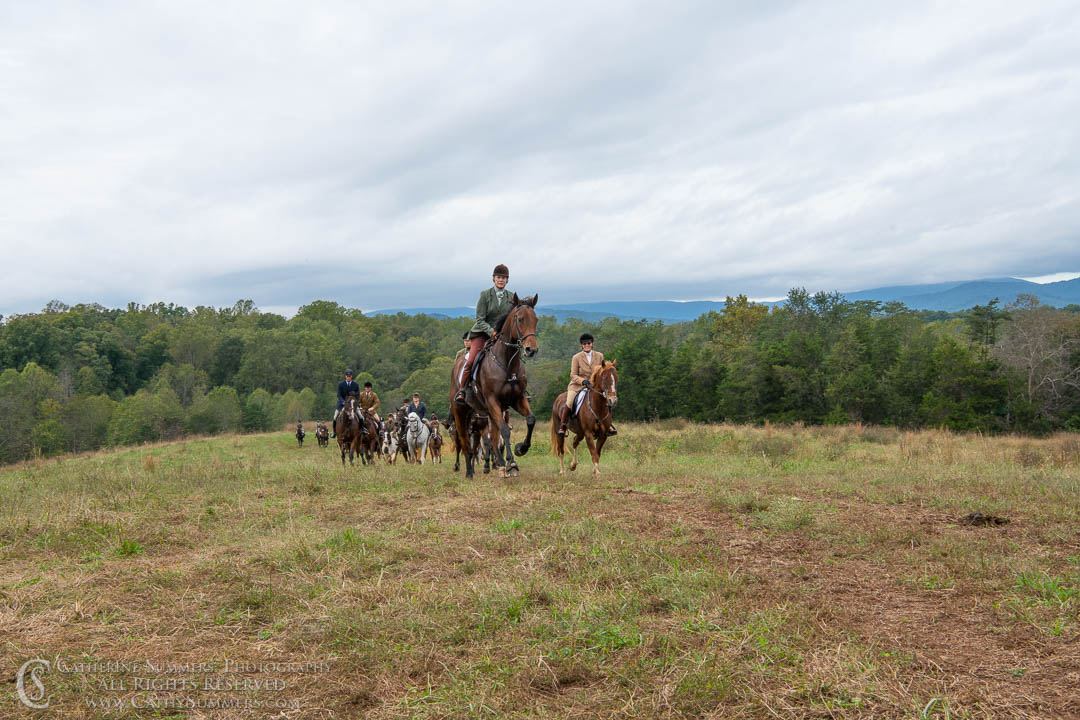 20181016_344: horizontal, Fox Hunting, Mint Meadows