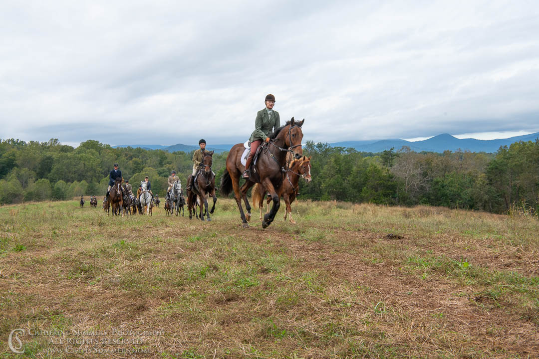 20181016_346: horizontal, Fox Hunting, Mint Meadows