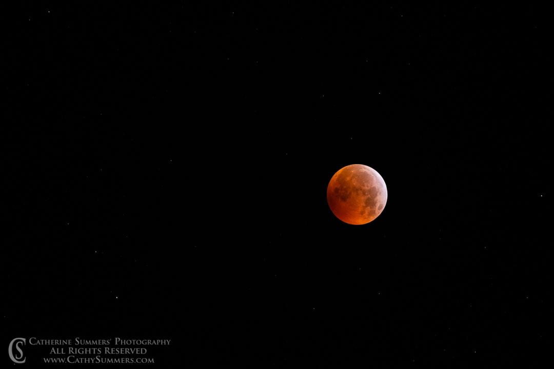 20190121_004: horizontal, moon, blood moon, full moon, super moon, landscape