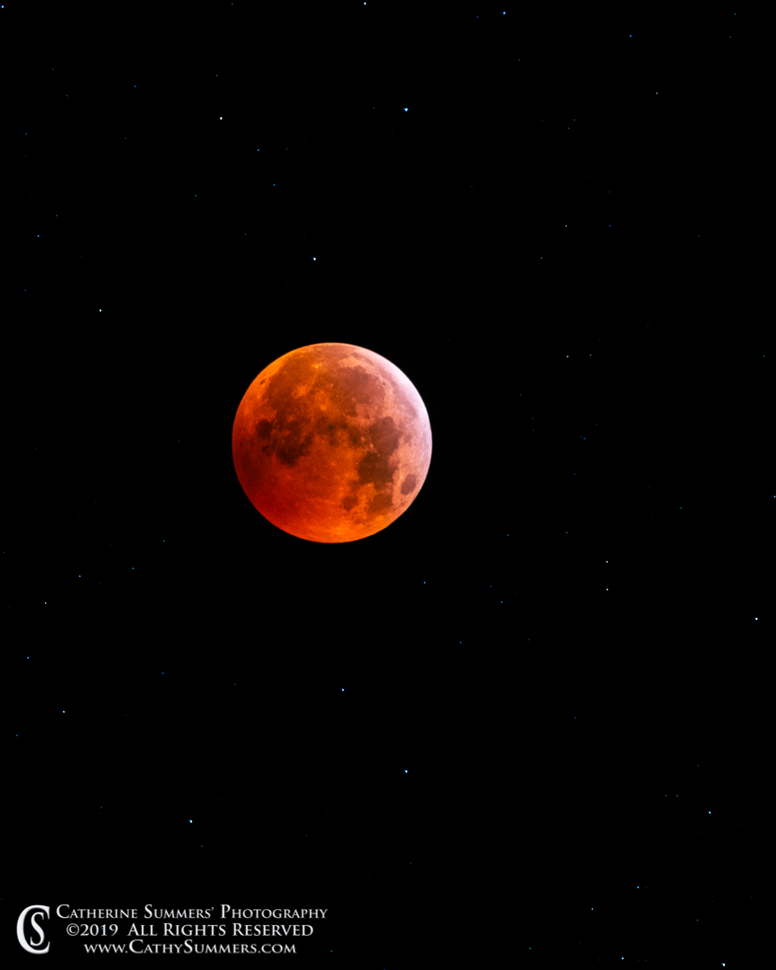 20190121_005: vertical, moon, blood moon, full moon, super moon