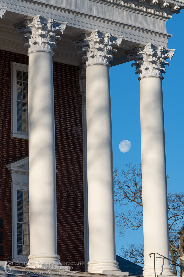 20190323_002: vertical, The Lawn, UVA, columns, The Rotunda