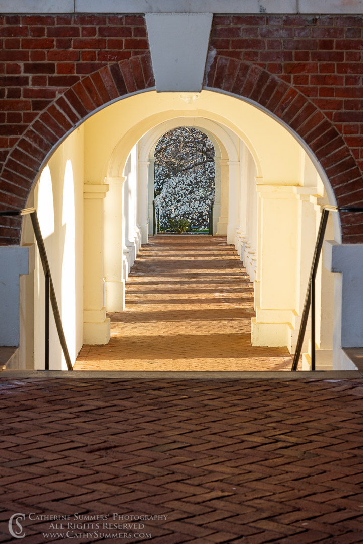 20190323_016: vertical, The Lawn, UVA, The Rotunda, arches, bricks