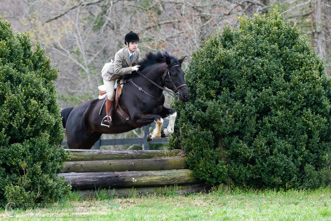 20190406_211: Charlotte Delaney