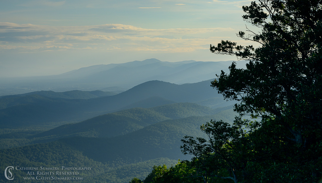 From the Wilderness gallery at CathySummers.com.