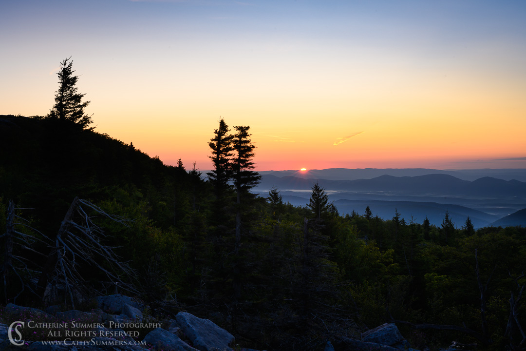 20190811_079: wilderness, horizontal, Dolly Sods, Bear Rocks, sunrise, pine tree, landscape