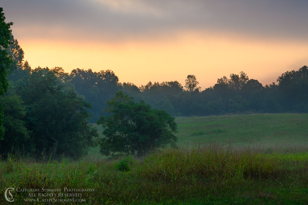Albemarle County Sunrise on a Cloudy Morning