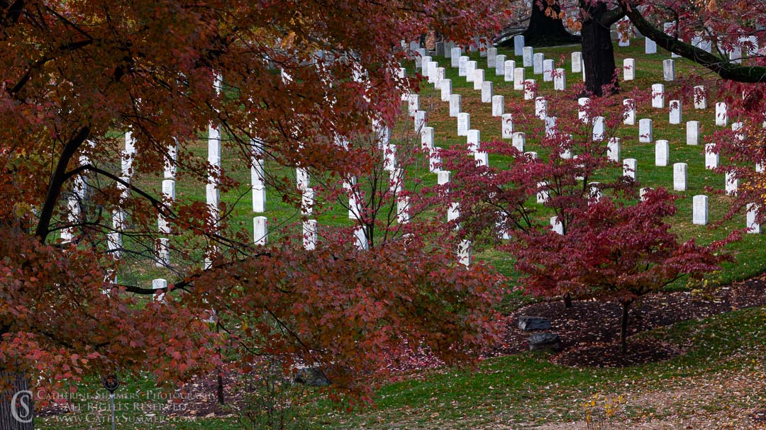 Autumn Morning in Arlington National Cemetery