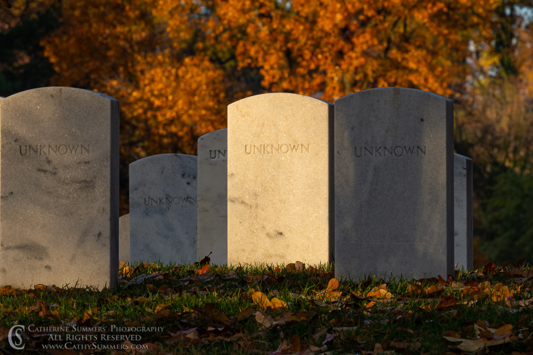Arlington National Cemetery, headstone, Veterans Day