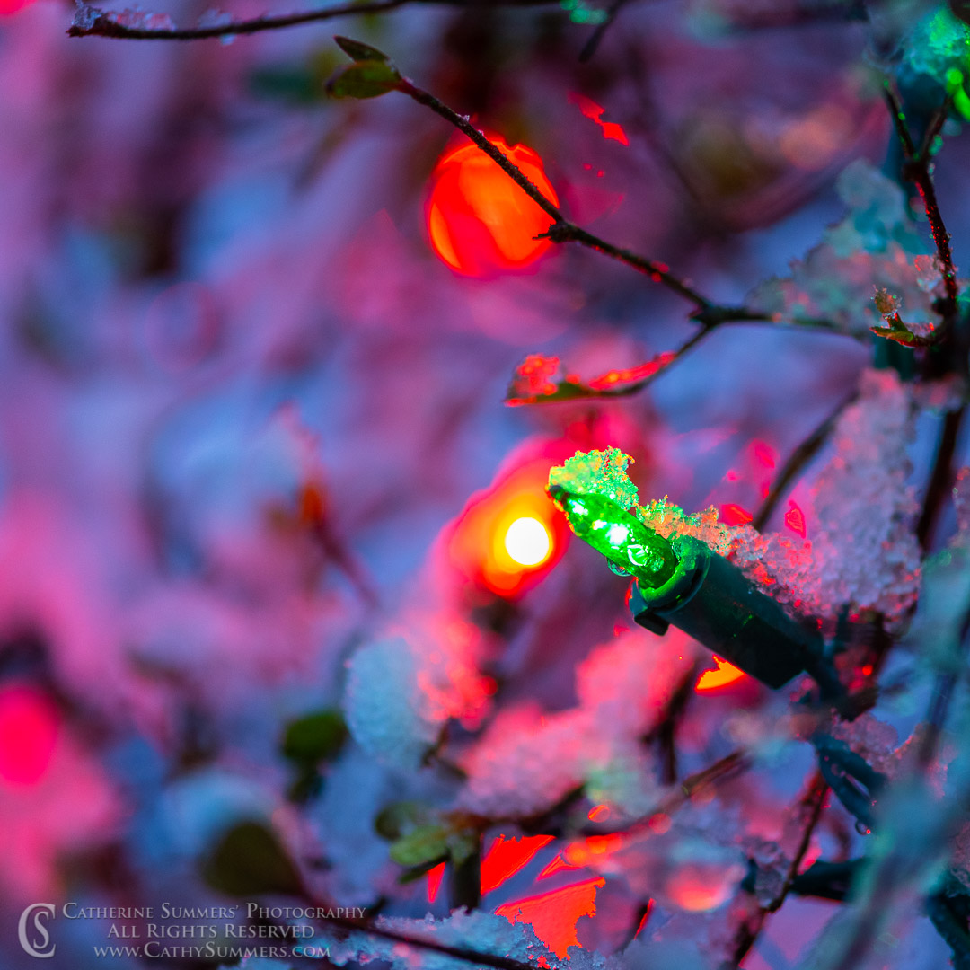 20200107_001: snow, square, Christmas Lights