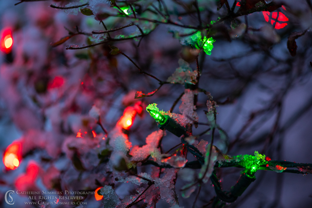 20200107_006: horizontal, snow, Christmas Lights