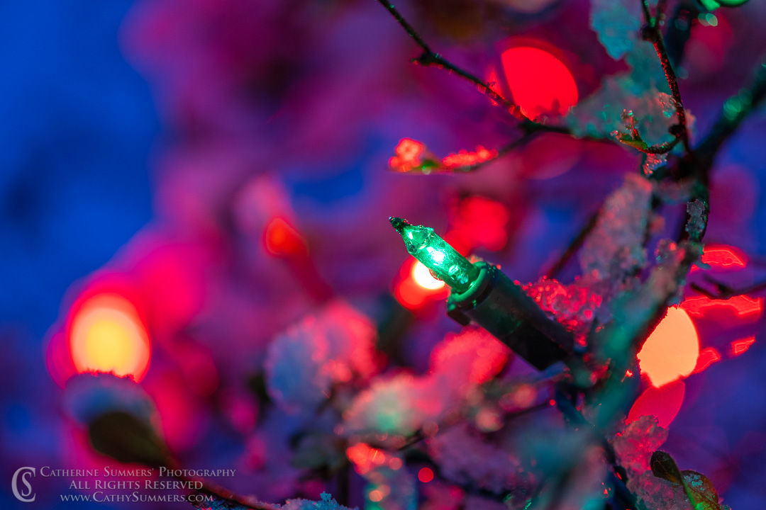 20200107_009: horizontal, snow, Christmas Lights