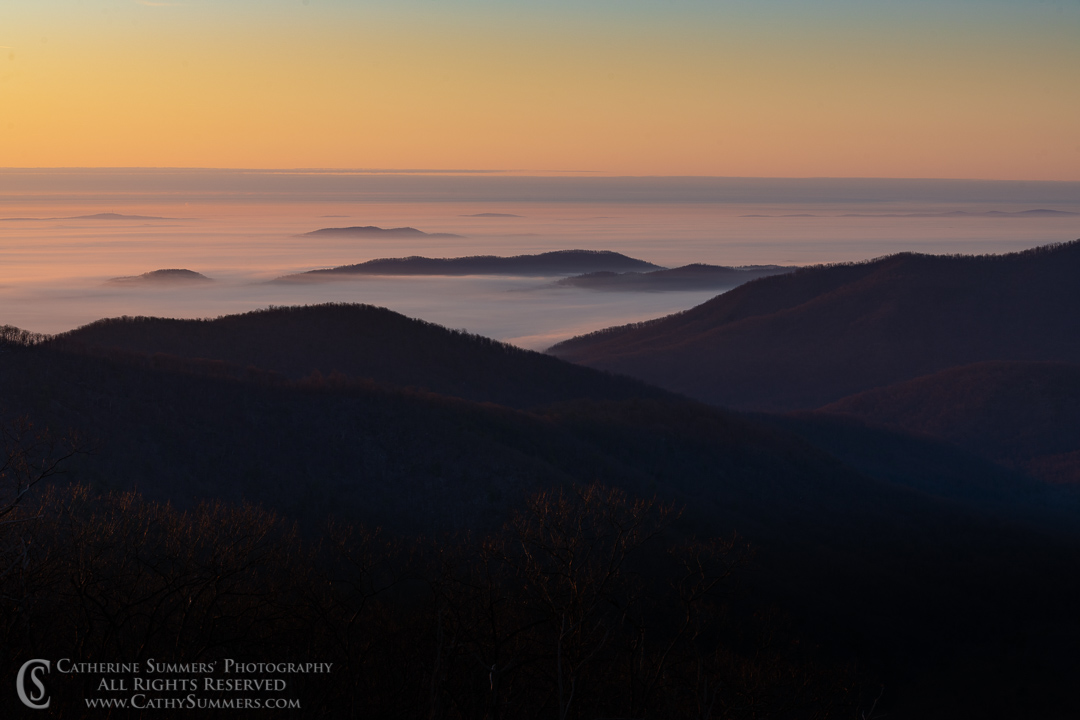 20200201_033: fog, winter, dawn, Blue Ridge Mountains