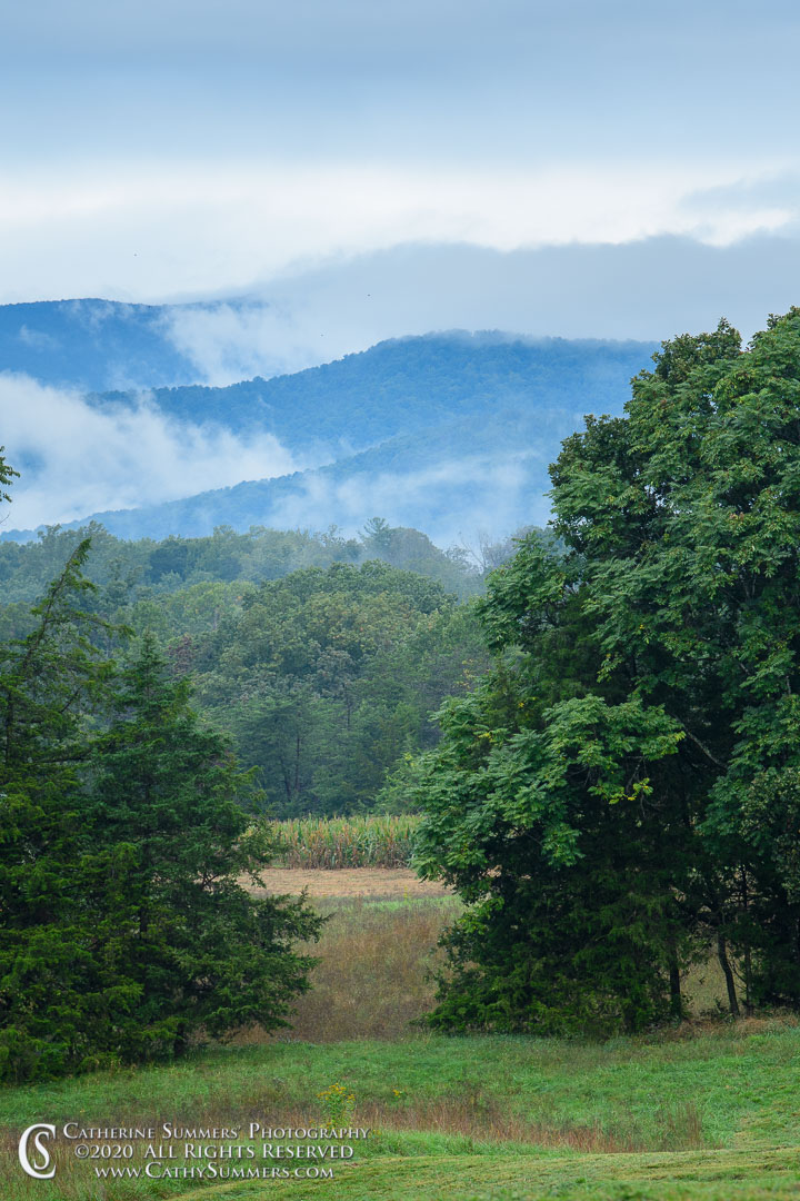20200926_018: vertical, clouds, trees, Blue Ridge Mountains, mist