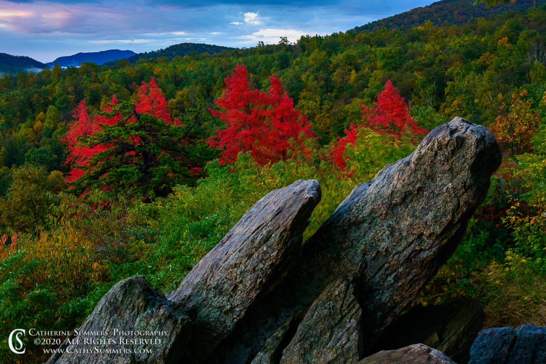 ,autumn, fall, Shenandoah National park, Hazel Mountain Overlook