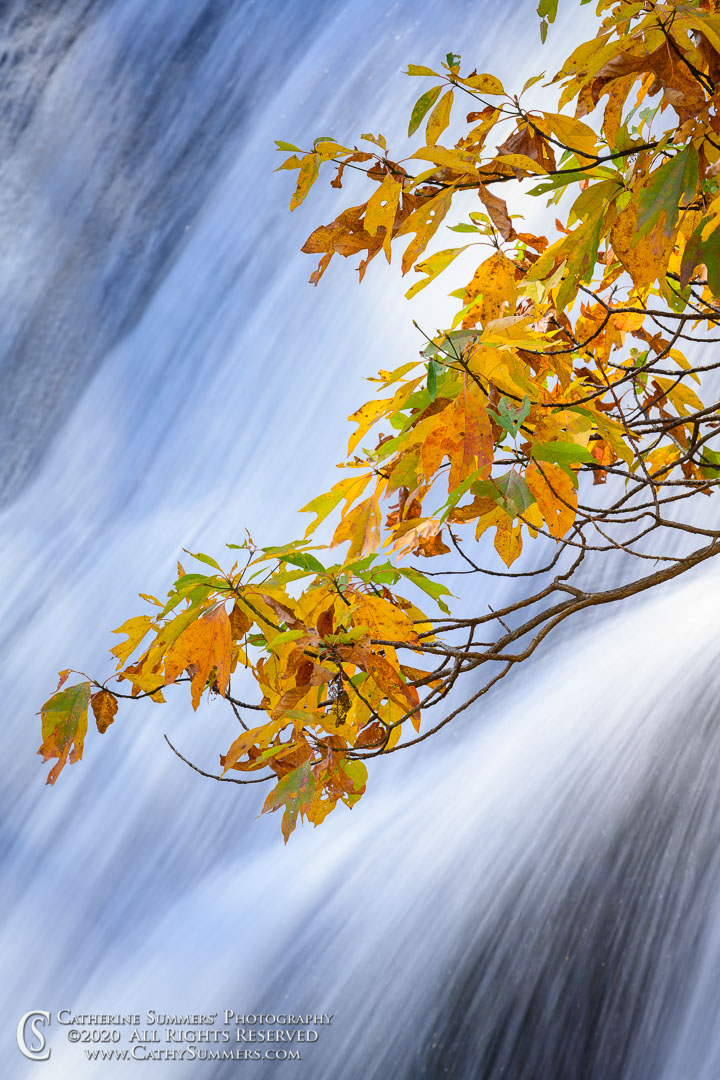White Oak Canyon Waterfall and Leaves on an Autumn Afternoon