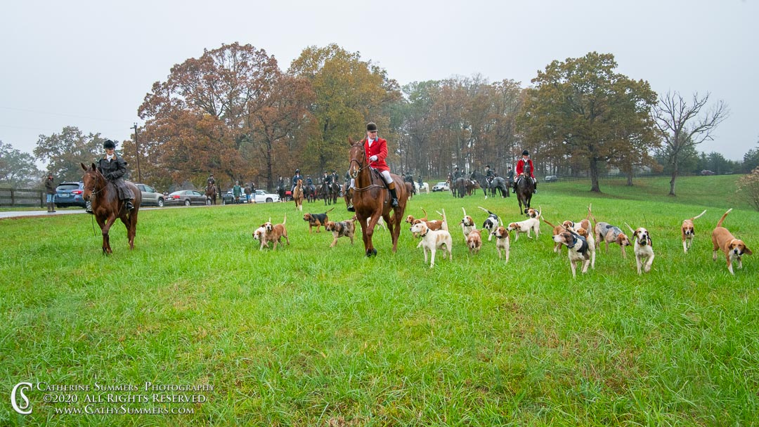 20201101_113: horizontal, hounds, Huntsman, Staff, Matthew Cook