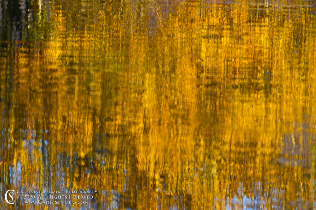 20201109_010: reflection, horizontal, autumn, pond, yellow, lake, abstract, Sky Meadows