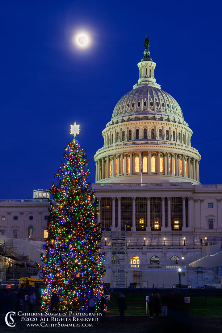 20201227_032: vertical, moon, winter, US Capitol, Christmas Tree