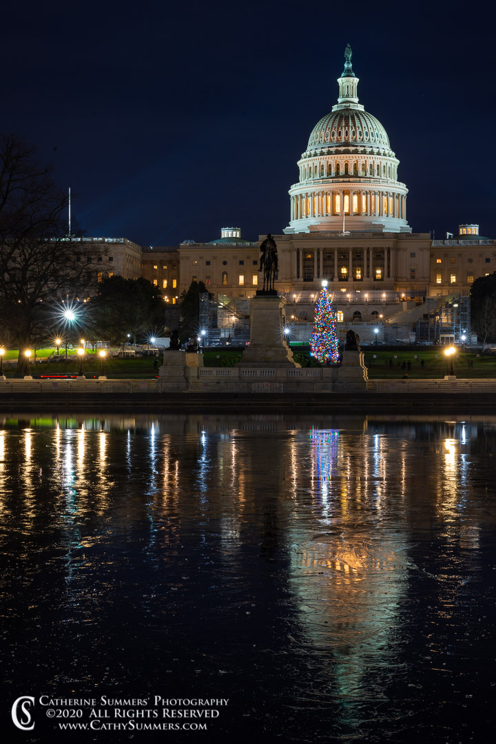 20201227_052: vertical, reflection, winter, ice, US Capitol, night, Christmas Tree, Capitol Reflecting Pool